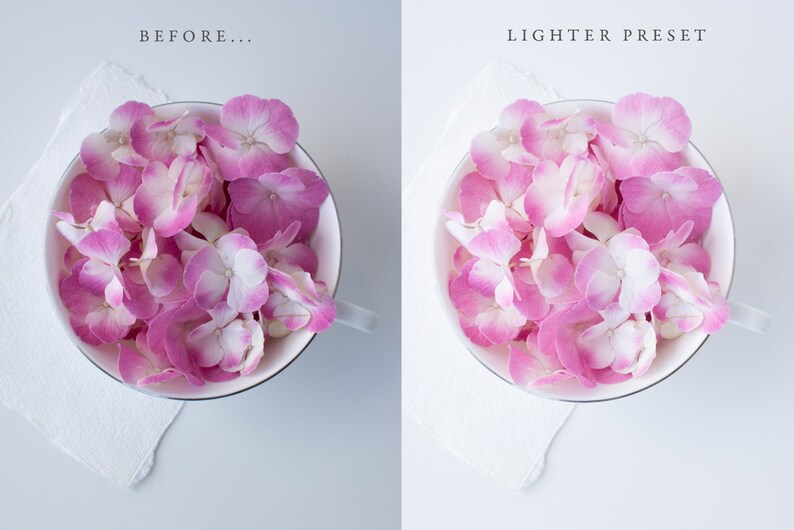May include: A white ceramic bowl filled with pink and white hydrangea petals. The bowl is on a white surface. The text "LIGHTER PRESET" is visible in the upper right corner of the image.