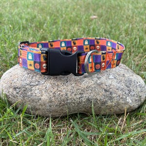 May include: A pet collar featuring a colorful checkered pattern with small Halloween-themed icons including ghosts, black cats, spiders, pumpkins, and skulls. The collar includes a black plastic side-release buckle and a silver metal D-ring.