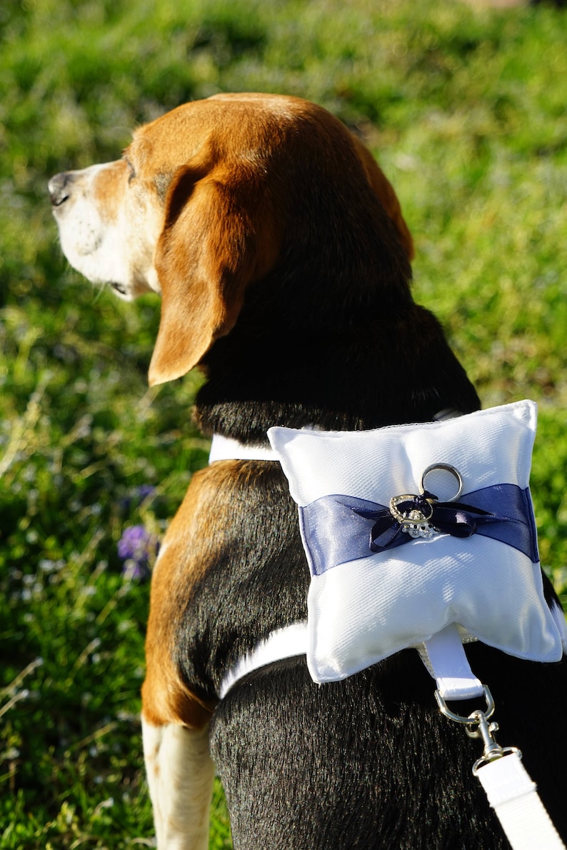Ring Bearer Dog Harness with Pillow and Matching Leash you Etsy