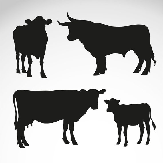 Cow Bulls and Calf Silhouette svgpngdxf 4 pack Animal | Etsy