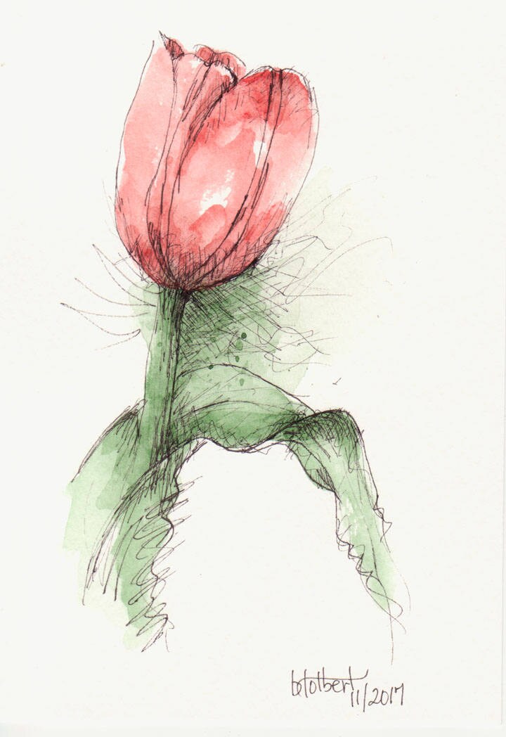 Tulip Original Art Watercolor Painting Pen and Ink