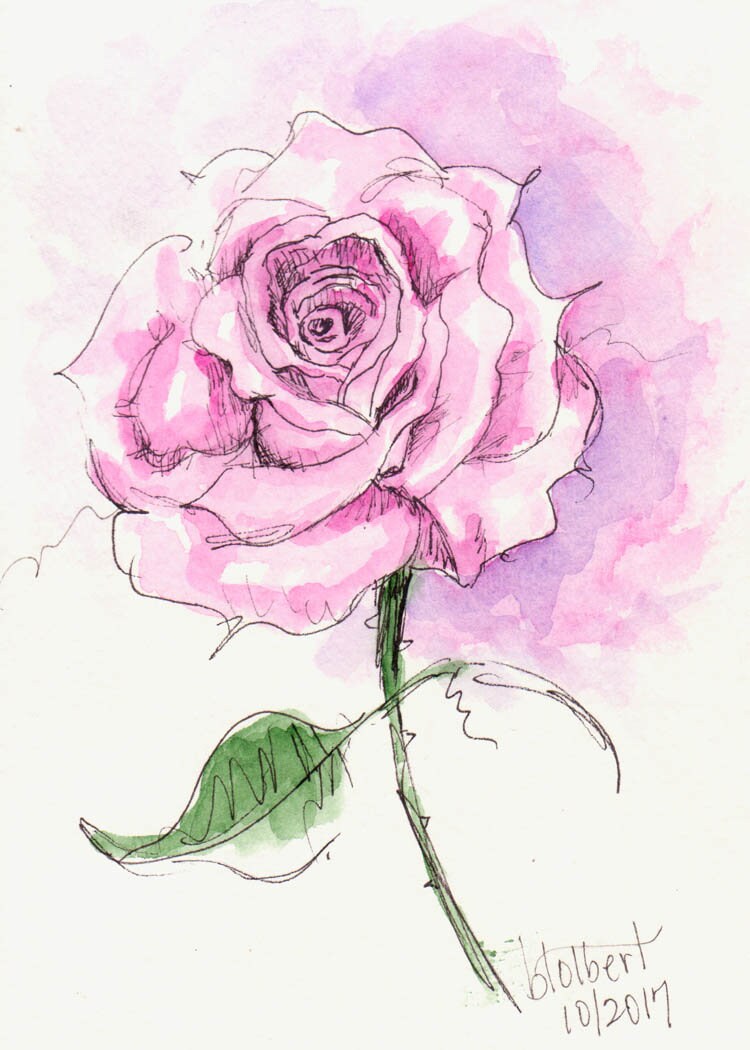 Original Watercolor Pink Rose Flower Art Painting Pen and