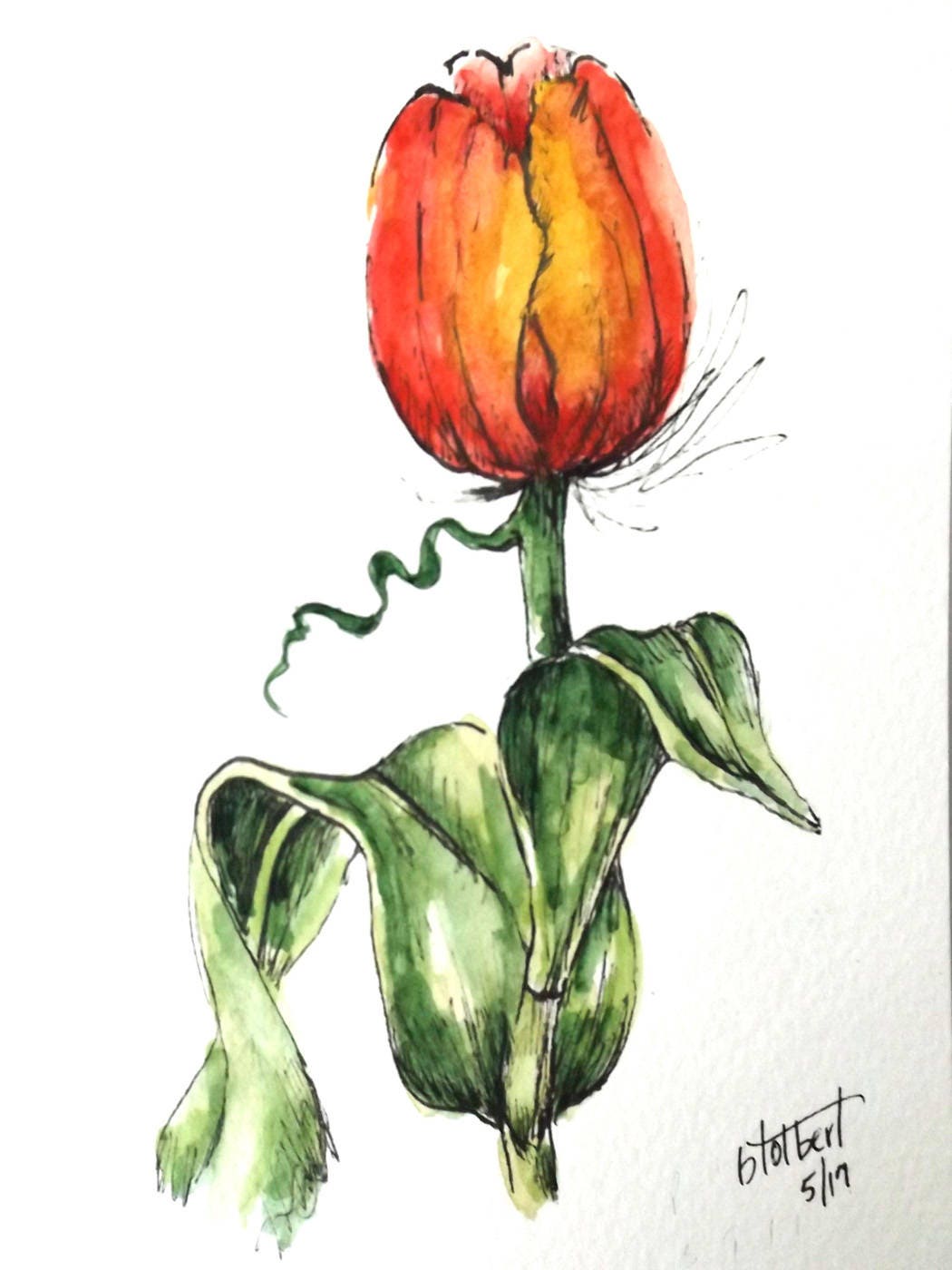 Tulip flower original art watercolor art painting pen and