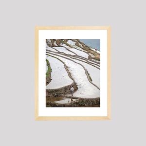 Rice Terraces