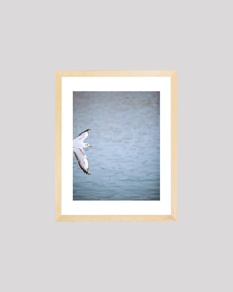 May include: A framed photograph of a white seagull flying over a body of water. The seagull is in mid-flight with its wings spread wide. The water is a light blue color and appears to be calm.
