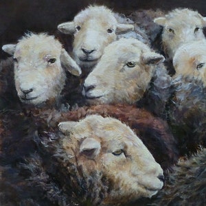 UK Herdwicks, sheep, ewe, lamb, farm animals, farm painting, shepherd, shepherdess, oil painting, farm life