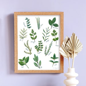 Herbs Print by Laurel Greenfield