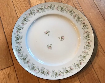 Bavaria Porzellan Speiseteller Kreis Weiß Silber Zierleiste Germany Johann Haviland Muster Krone Logo lcww