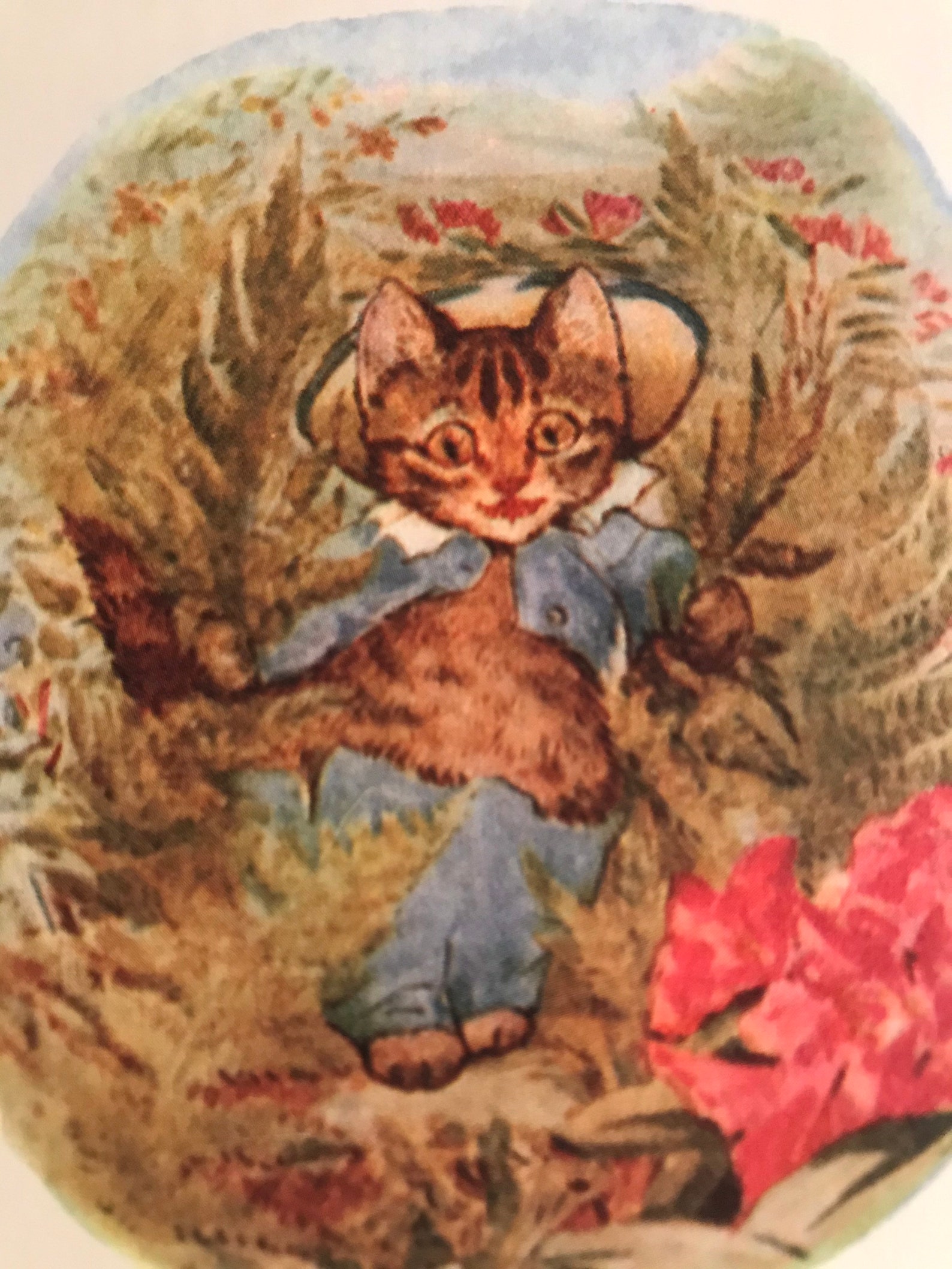 Beatrix Potter Tom Kitten Kitty Cat Illustrations Are Amazing | Etsy