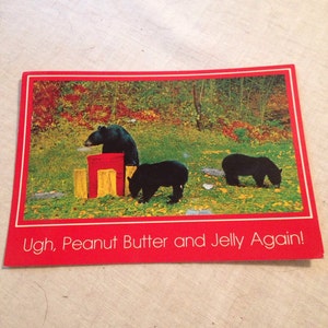 Vintage zwarte beer ansichtkaart North Carolina Peanut Butter Jelly Bandits fotograaf Joyce L. Haynes lcww