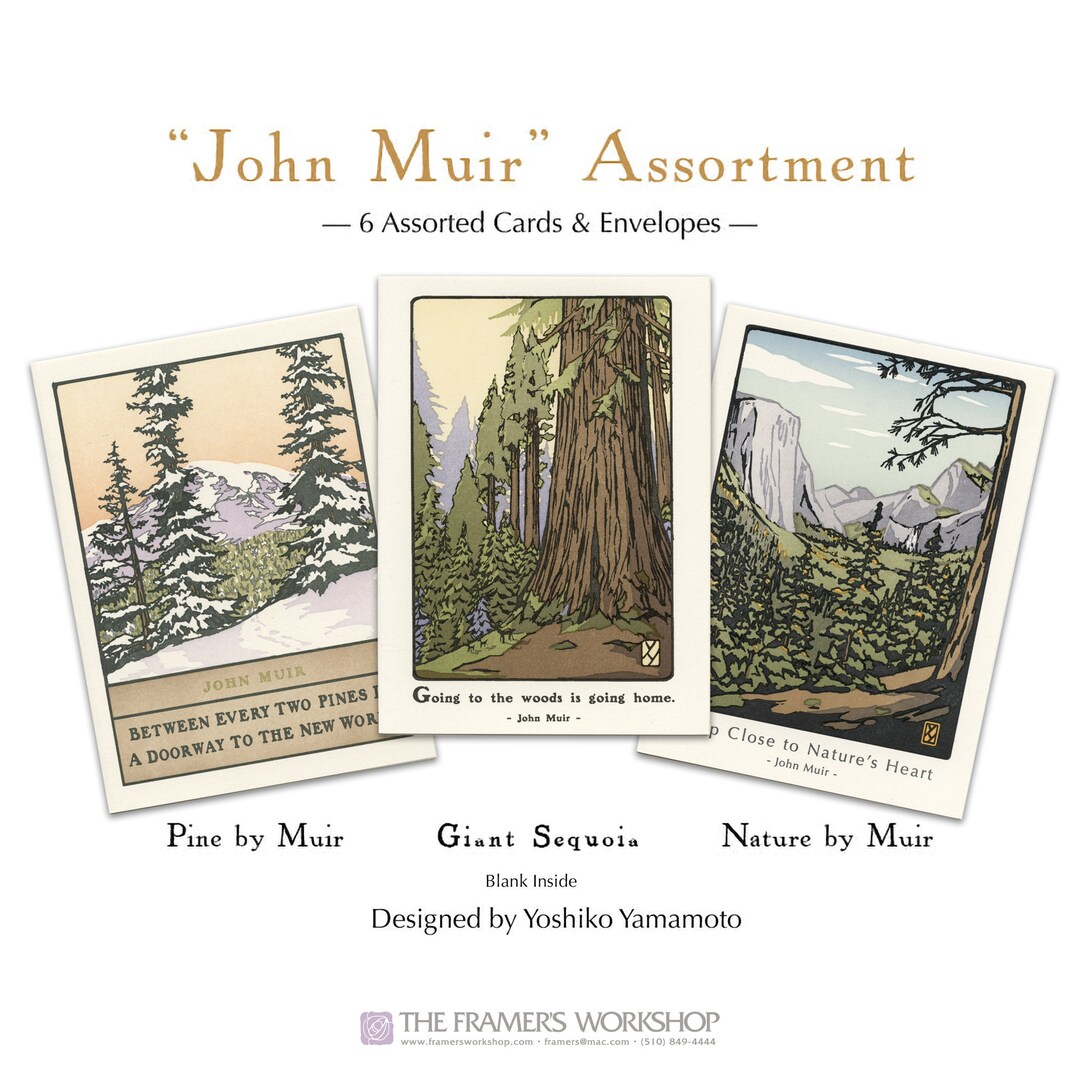 John Muir Assortment II Greeting Card Box Set Yoshiko Etsy
