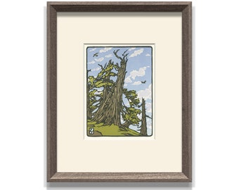 Bristlecone Pine, Framed Letterpress Print by Yoshiko Yamamoto