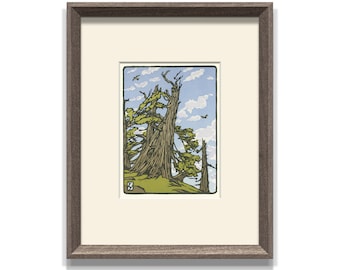 Bristlecone Pine, Framed Letterpress Print by Yoshiko Yamamoto