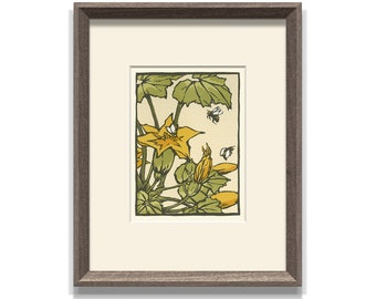 Squash Flower, Framed Letterpress Print by Yoshiko Yamamoto