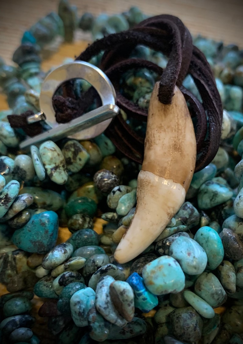 May include: A brown leather cord necklace with a silver clasp and a large white tooth pendant. The necklace is lying on a bed of turquoise stones.