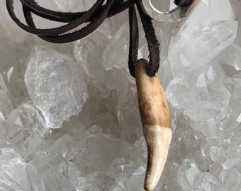 Wolf tooth necklace on a deerskin leather cord. Wolf tooth necklace, wolf tooth jewelry, animal tooth necklace, wolf tooth, wolf necklace