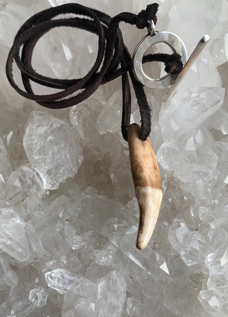 May include: A brown leather cord necklace with a silver ring pendant and a bone tooth charm. The necklace is displayed on a bed of clear quartz crystals.