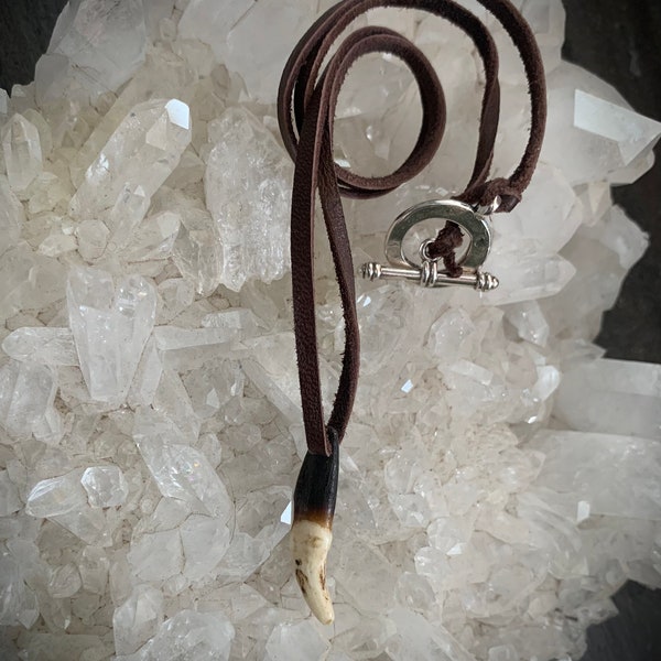 Wolf tooth necklace on a deerskin leather cord. Wolf tooth necklace, wolf tooth jewelry, animal tooth necklace, wolf tooth, wolf necklace