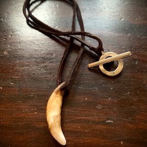 May include: A brown leather cord necklace with a silver toggle clasp and a white tooth pendant.