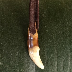 May include: A brown leather cord necklace with a tooth pendant. The tooth is white with brown markings.