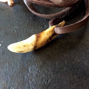 May include: A brown leather cord necklace with a light brown animal tooth pendant.