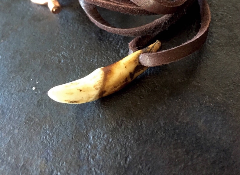 May include: A brown leather cord necklace with a light brown animal tooth pendant.