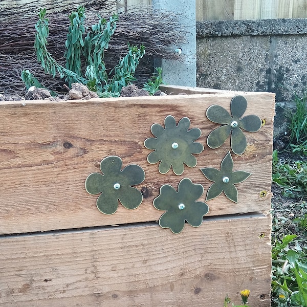 Garden flowers