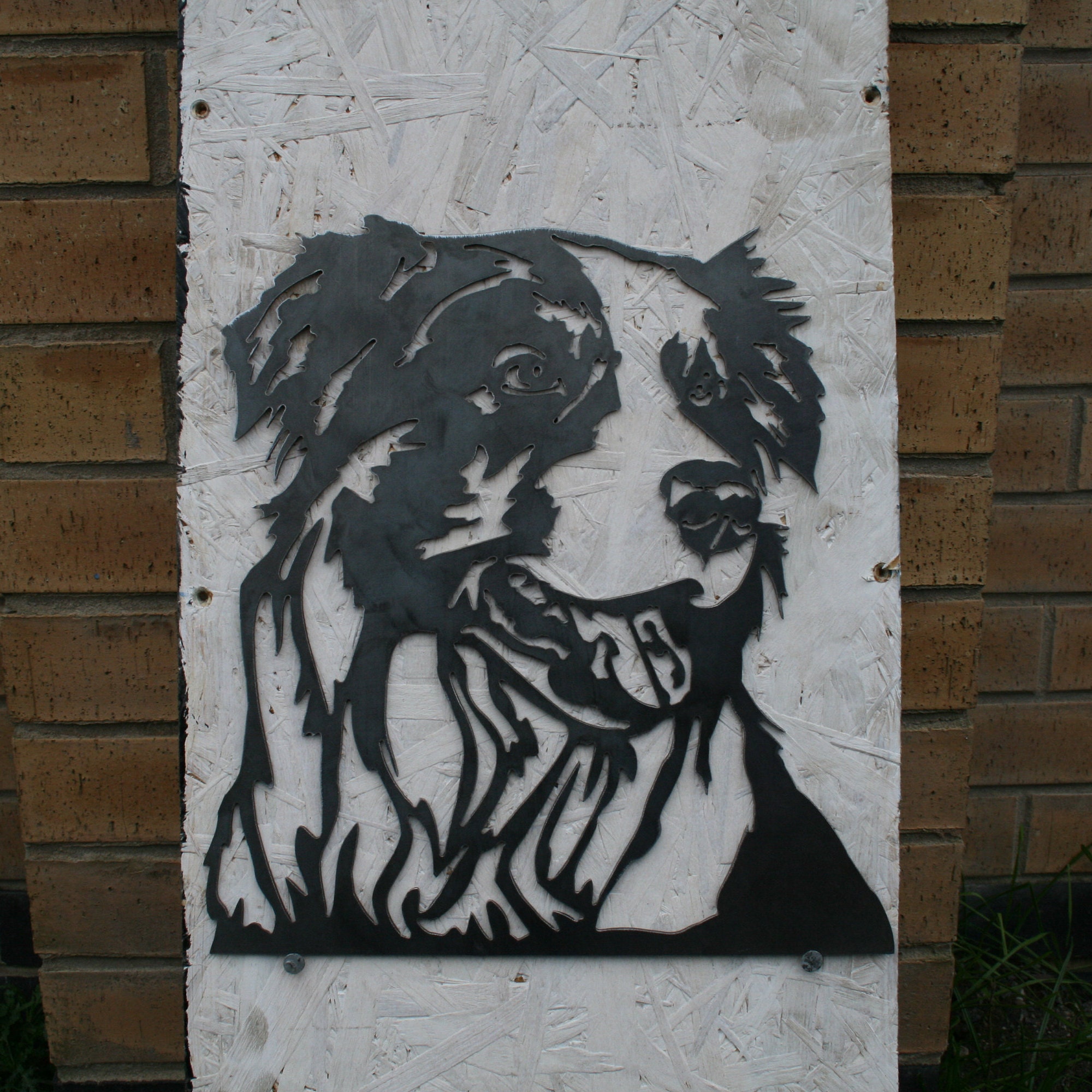 Double Trouble Border Collie Print Customised Dog Print 