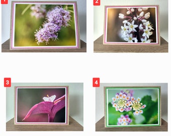 Fotokartenset: Blumen Botanik, Fotopostkarte Blume, Grußkarte, Fotografie, Geschenkkarte Geburtstag