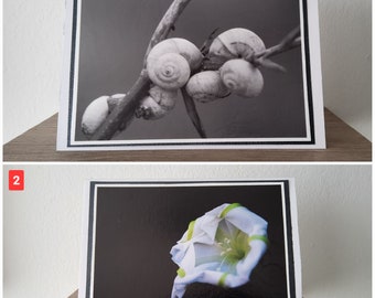 Kartenset: Botanik, Fotokarte Blume, Trauerkarte