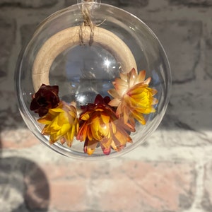 2 or more Flowers in a bauble Perfect Gift image 5