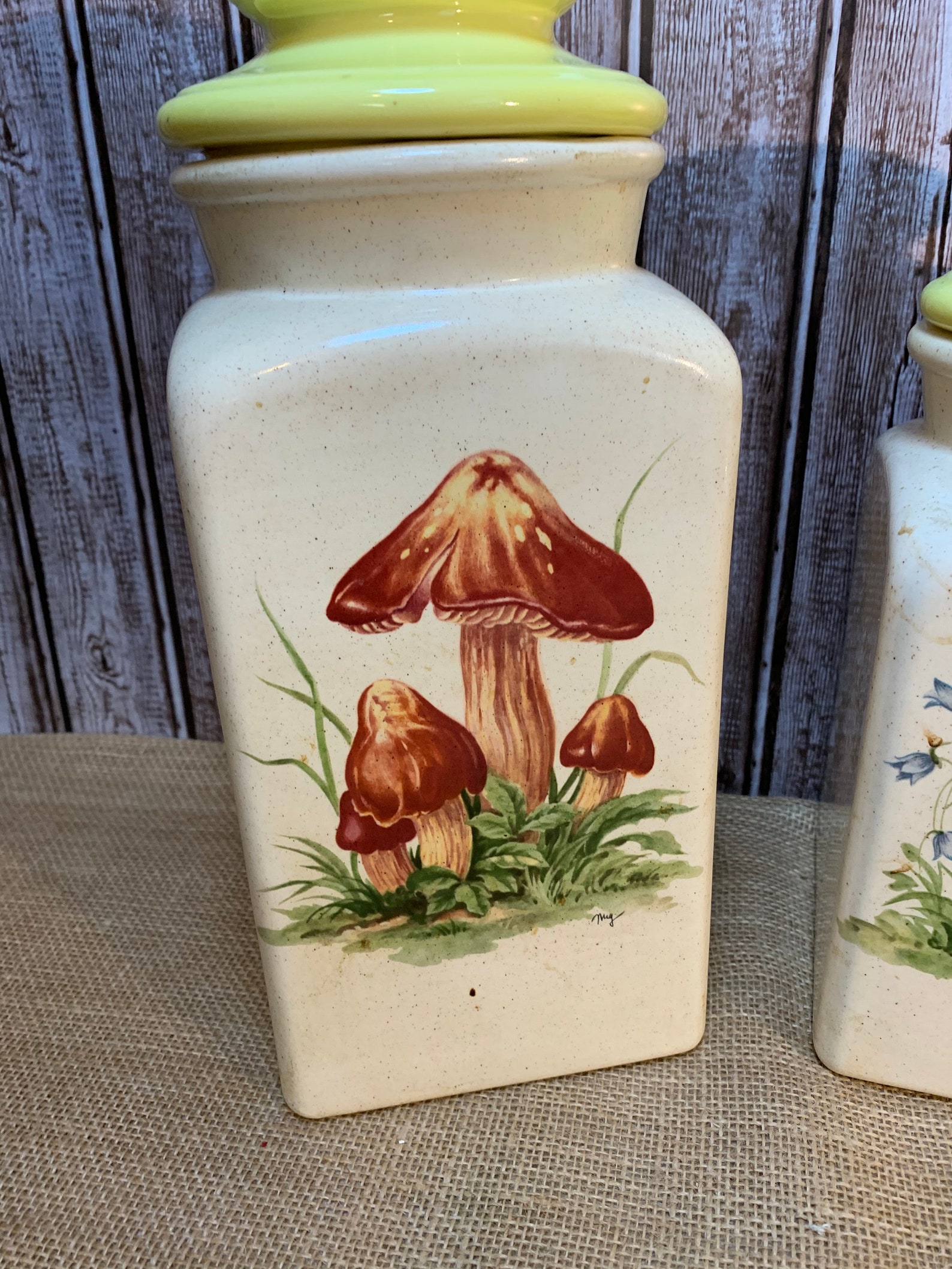 Vintage Mushroom Patterned Canister Set, Ceramic Mushroom Canisters