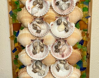 May include: A rectangular wooden framed wall art piece featuring a collection of seashells. The artwork showcases large, fan-shaped shells with smaller shells and colorful glass pieces. The shells are arranged in a grid pattern.