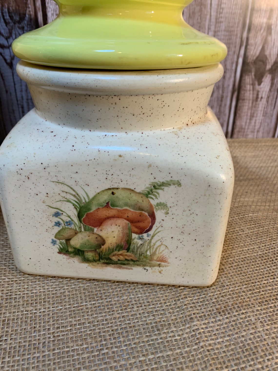 Vintage Mushroom Patterned Canister Set Ceramic Mushroom Etsy