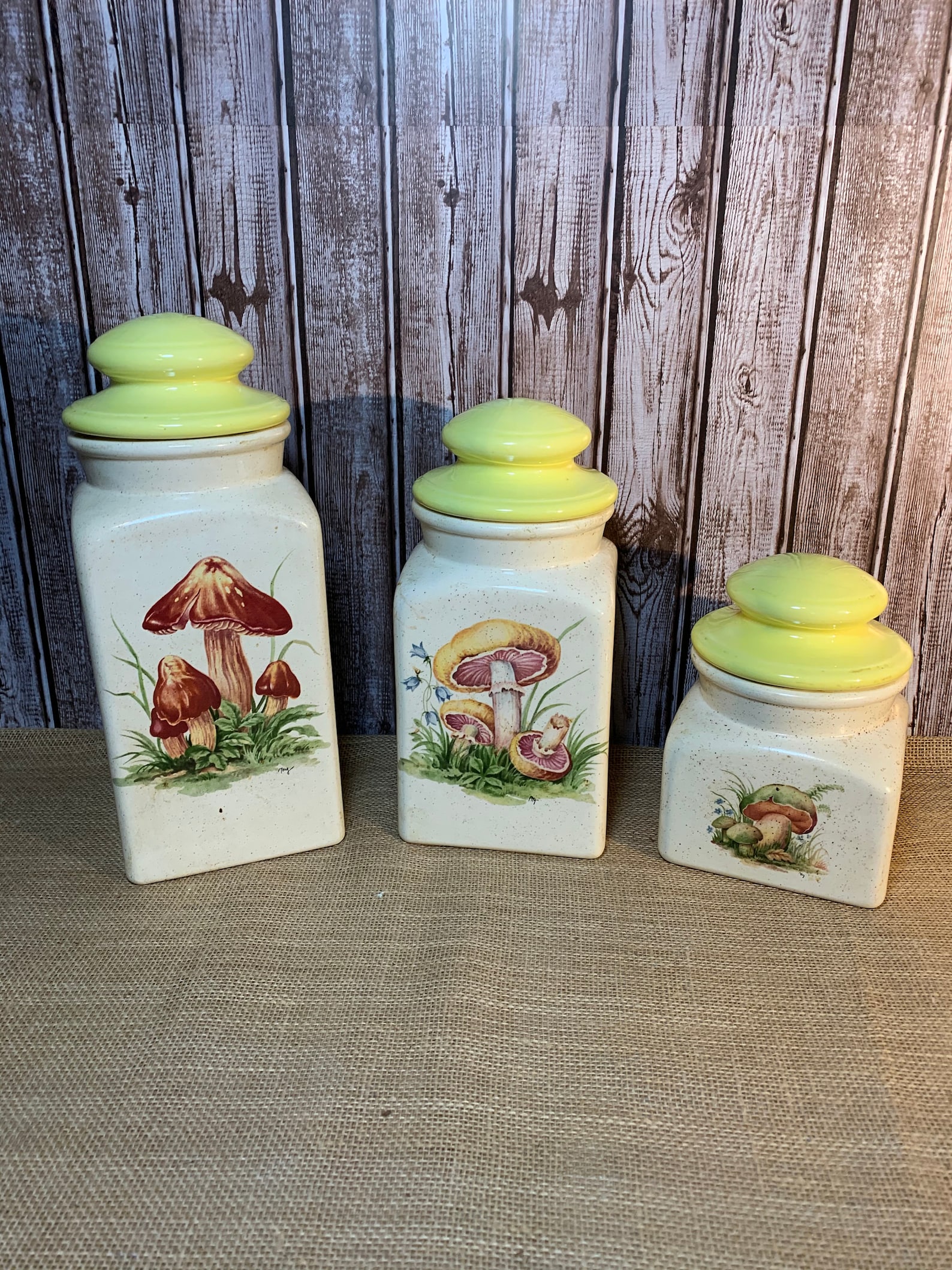 Vintage Mushroom Patterned Canister Set, Ceramic Mushroom Canisters