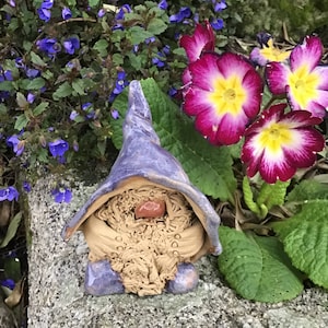May include: A ceramic garden gnome with a purple hat and beard. The gnome has a tan beard and a small red nose. The gnome is sitting on a stone surface, with purple and pink flowers in the background.