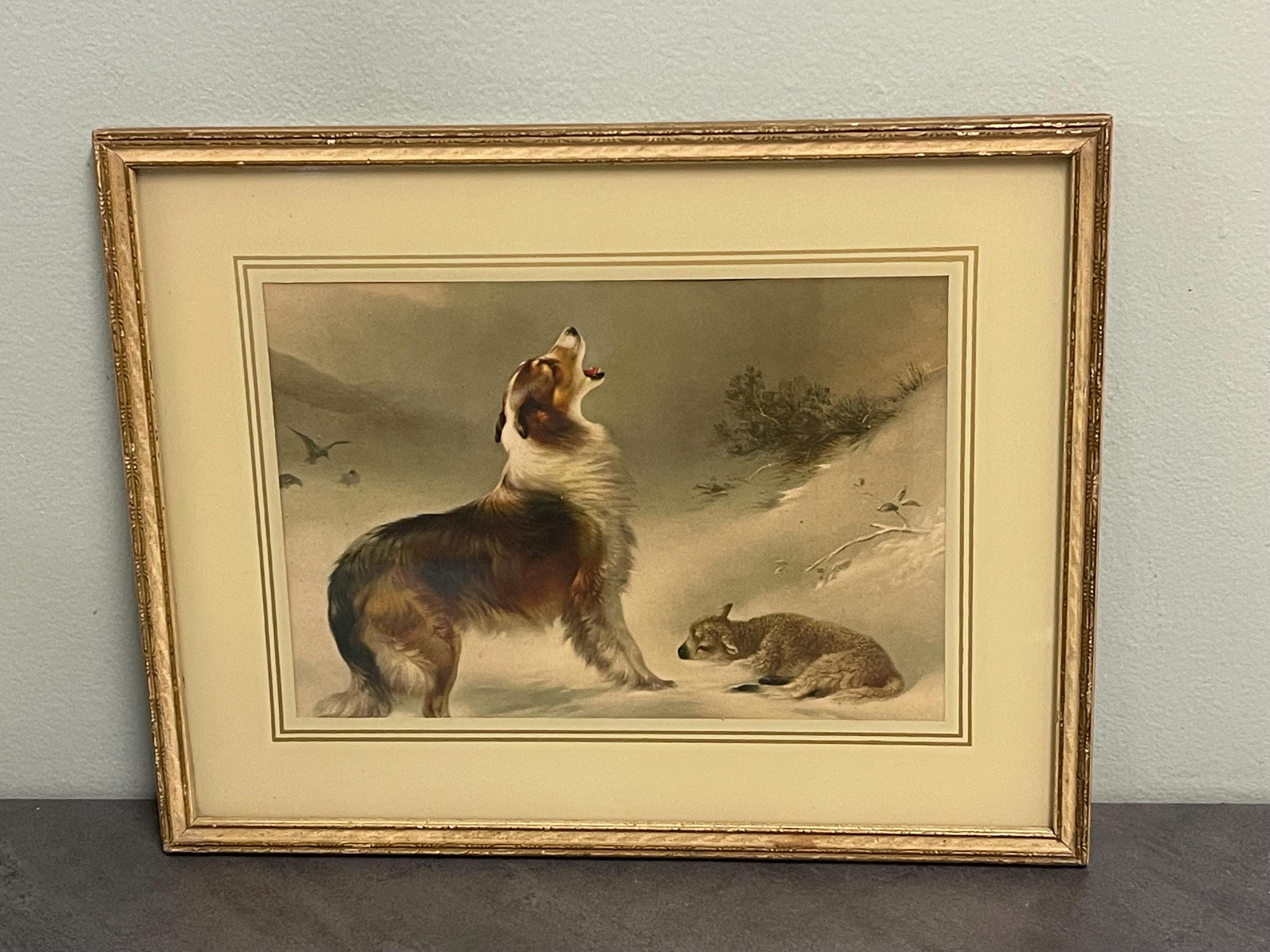 Oil Paintings Collie And Lamb In Snow Painting Highland Spirit