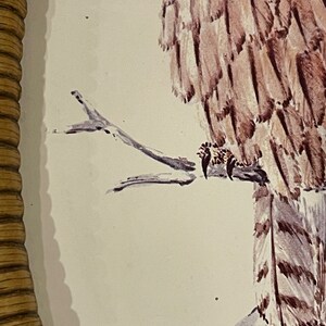 Puede incluir: Una pintura de acuarela de un b&uacute;ho posado en una rama. El b&uacute;ho es marr&oacute;n y blanco con plumas detalladas. La rama es delgada y marr&oacute;n.