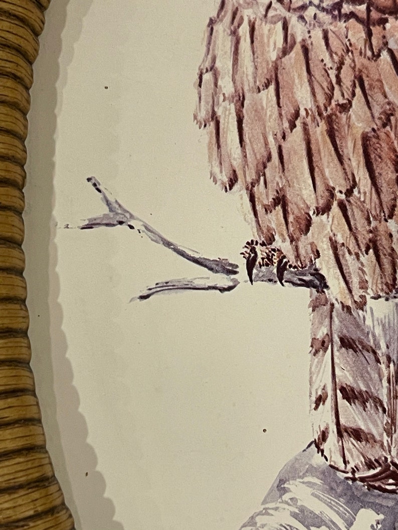 Puede incluir: Una pintura de acuarela de un b&uacute;ho posado en una rama. El b&uacute;ho es marr&oacute;n y blanco con plumas detalladas. La rama es delgada y marr&oacute;n.