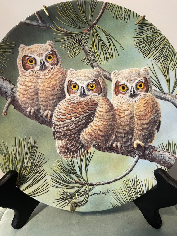 Owl 3枚セット まとめ売り CD 717QTp+dbuL.jpg 邦楽