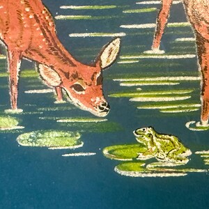 May include: An illustration of deer in a pond with lily pads and a frog. The deer are brown with white spots, and the frog is green. The water is a deep blue, and the lily pads are green and white.