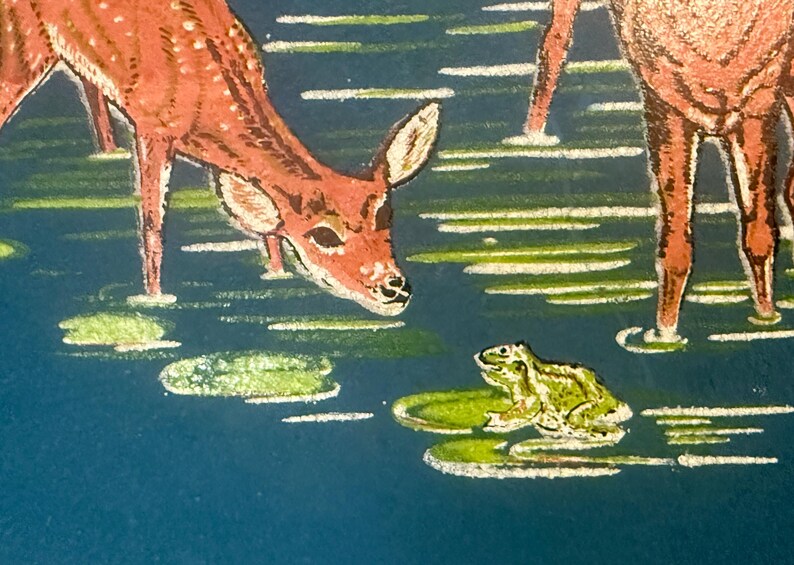 May include: An illustration of deer in a pond with lily pads and a frog. The deer are brown with white spots, and the frog is green. The water is a deep blue, and the lily pads are green and white.