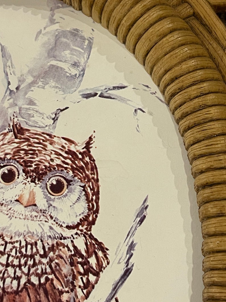Puede incluir: Una pintura de acuarela de un b&uacute;ho con plumas marrones y blancas, posado en una rama. El b&uacute;ho tiene ojos grandes y redondos y un peque&ntilde;o pico. La pintura est&aacute; enmarcada en un marco de mimbre tejido.