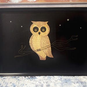 May include: A rectangular black tray with a decorative owl design. The owl is light brown with large black eyes and is perched on a branch. Several small stars are scattered across the black background. A decorative piece for the home.