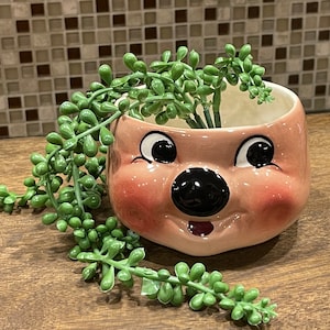 1950 Pig Cookie Jar - Etsy