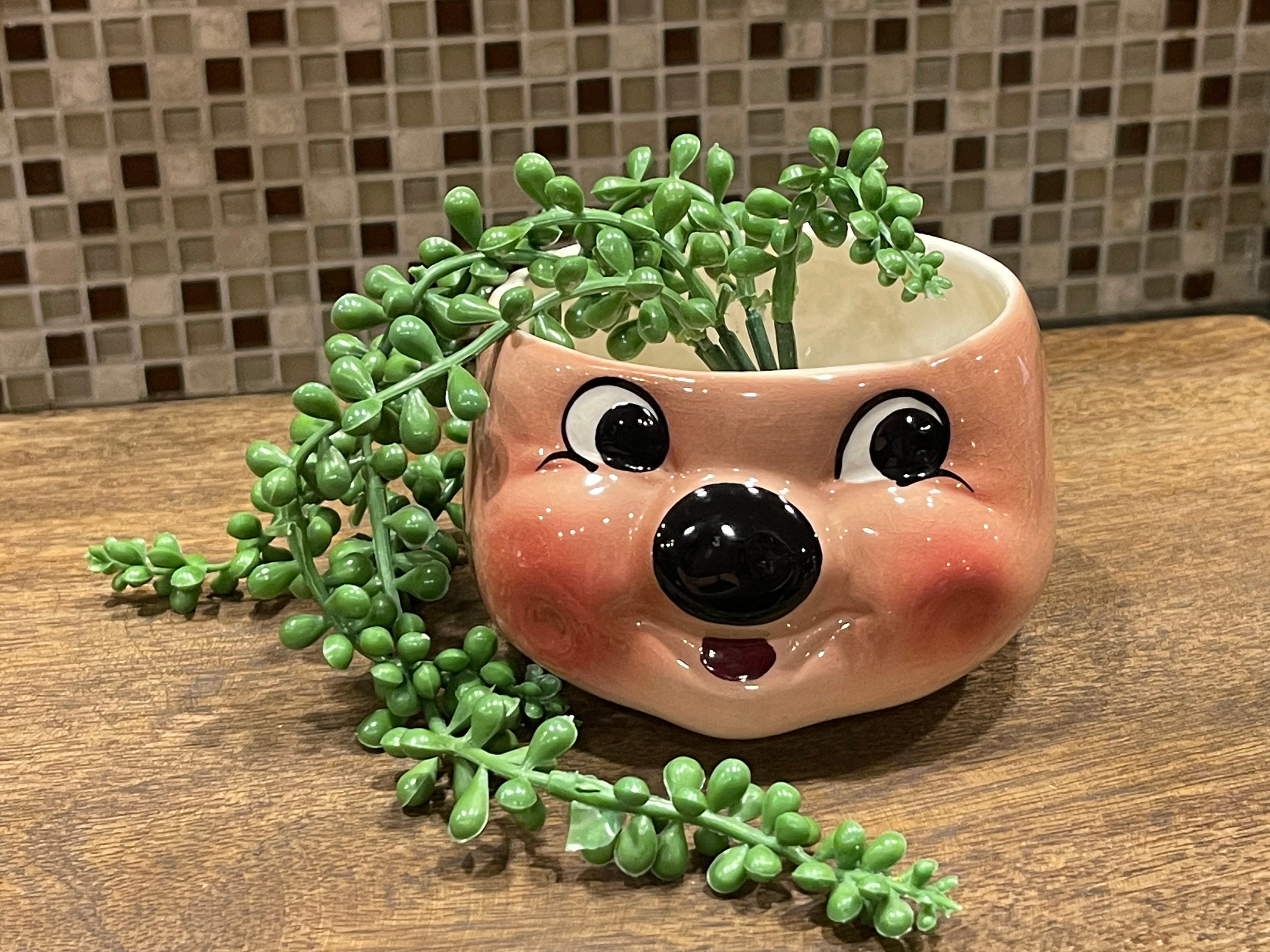 PIG Planter…deforest of California…smiling Pig Face…black
