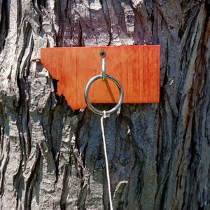 May include: A wooden ring toss game with a red wooden board and a metal ring hanging from a string. The board is attached to a tree trunk.