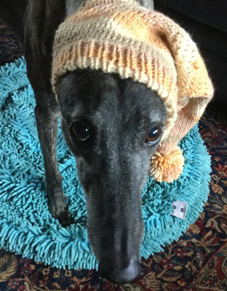 Pointed Hat with Snood for Greyhound Harvest Stripes 9484
