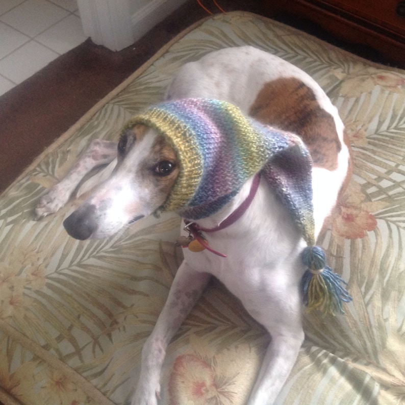 Greyhound hat with snood-watercolors ombre