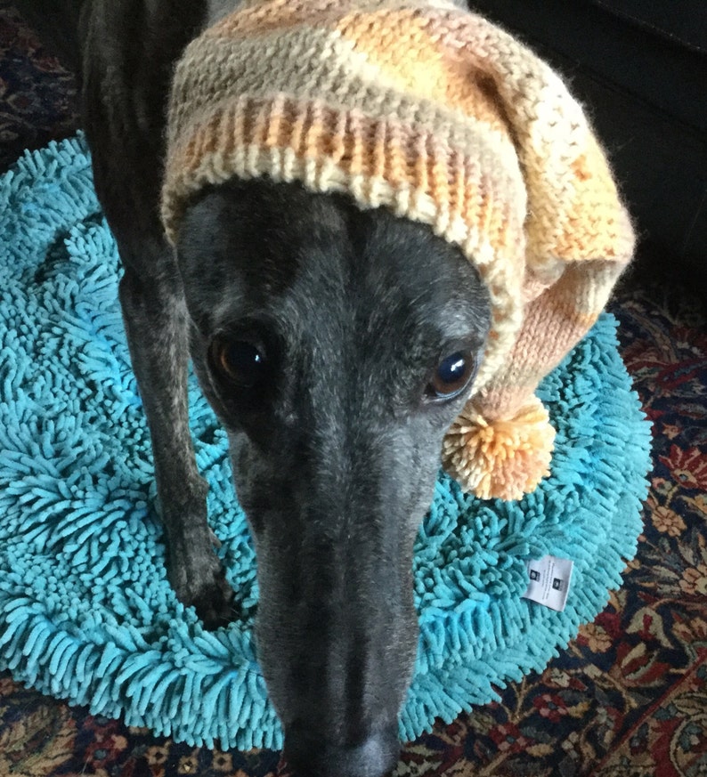 Pointed Hat with Snood for Greyhound Harvest Stripes 9484